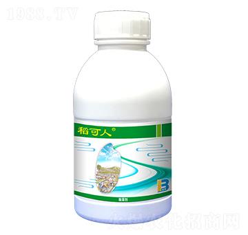 31%���f�����ݰ�-������-ӯ�x