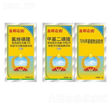 ӯ�x���g-ӯ�x