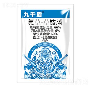 66%���ݡ����@좣�����-��ǧ��-ӯ�x