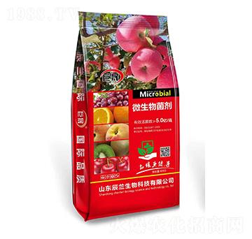 40kg΢�������-����-���m����