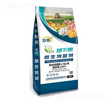 微生物菌劑-地下果-辰蘭生物