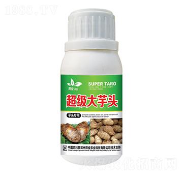 ���^�����~���-����(j��)�����^-�￡�ʘI(y��)