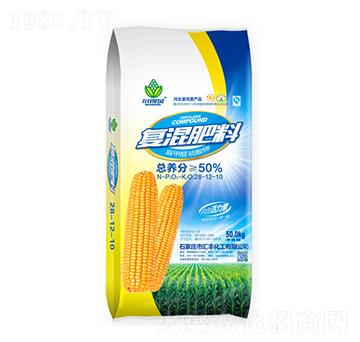 ���ȩ����⛏�(f��)�����28-12-10-�R�S����