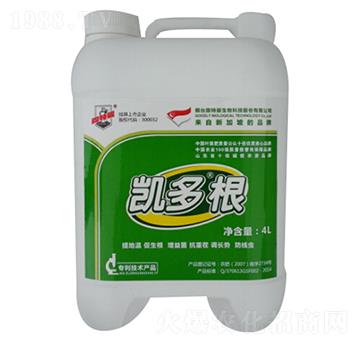 �P���-������