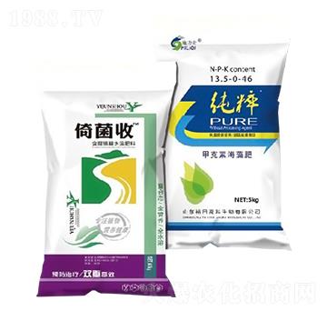 �о���+����-ԣ��߿�