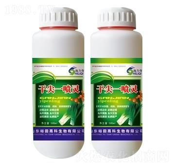 �ɼ�һ���`(�²��[���猣��)-ʩ����-ԣ��߿�