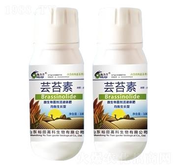 �|̦��-ʩ����-ԣ��߿�