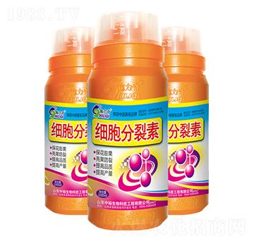 1000ml����������-ʩ����-ԣ��߿�