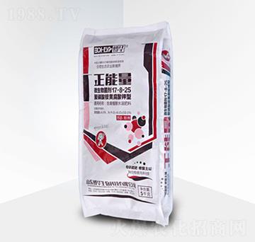 ΢�������-������-���A����