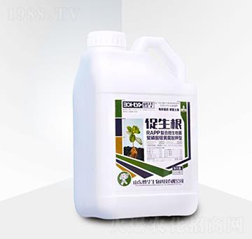 �ͺ�΢�����-������-���A����