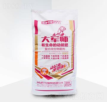 ��(f��)��΢�������-��܊���ۄ�-���A����