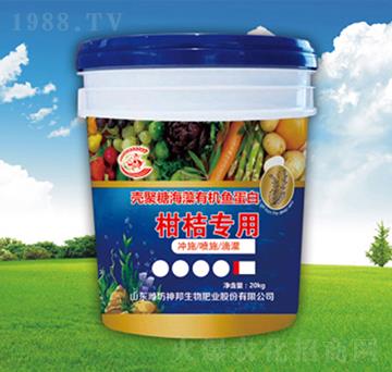 ���ٌ��Û_ʩ��-�������