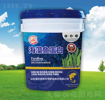 �����~(y��)���כ_ʩ��-�������