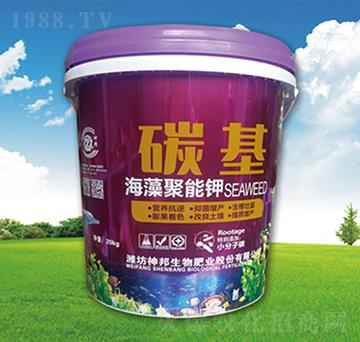 ��������-̼��-�������