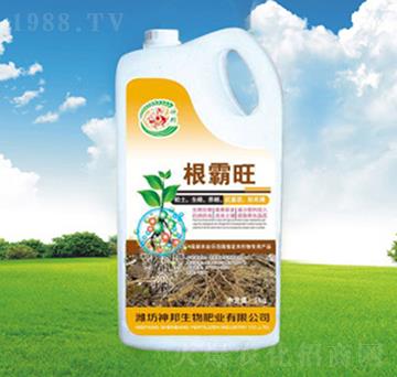 ������Ͱ��-�������