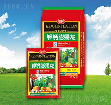 ��}�����-�������