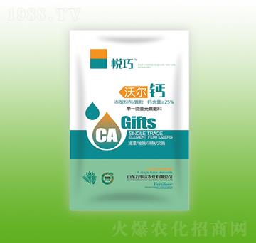 �֠��}-����-�f���_