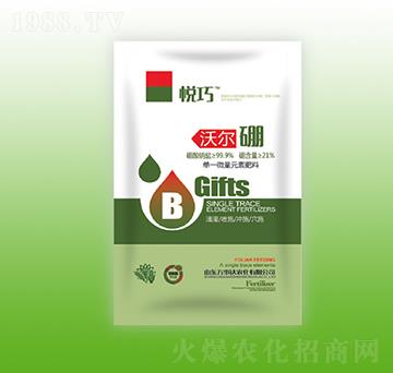 �֠���-����-�f���_(d��)