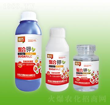 �ۺ��-����-�f���_(d��)