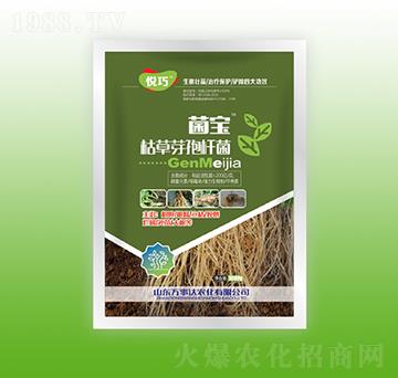 �����ݲ�ѿ�ߗU��-����-�f���_(d��)