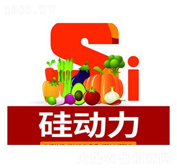 �����-�f���_