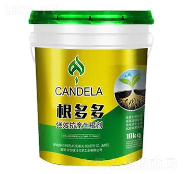 ����࿹��������-�f���_