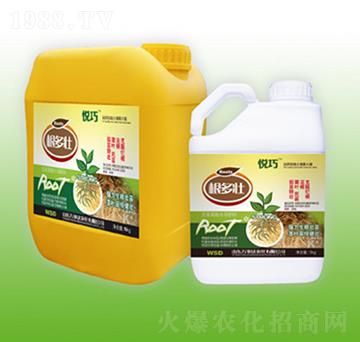 ������-����-�f(w��n)���_(d��)