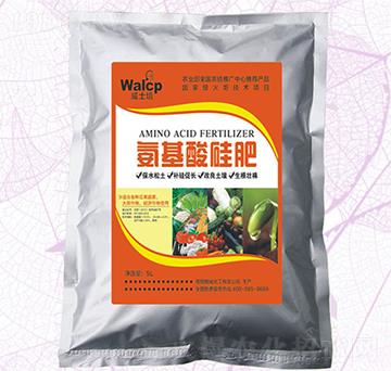 ���������-��ʿ��-����