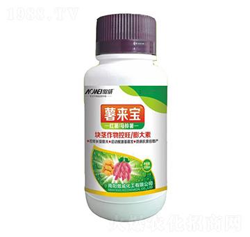 �K�o������������-���(l��i)��-����