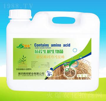 �������������-�n��ʘI(y��)