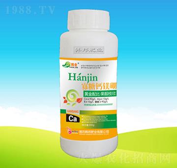 �����}�V�����w��-�n��ʘI(y��)