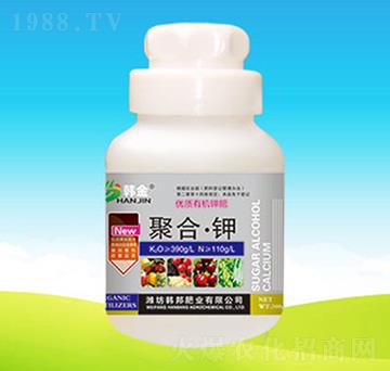 ��(y��u)�|(zh��)�ЙC⛷�-�ۺϡ��-�n��ʘI(y��)