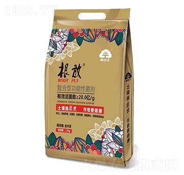 �ͺ��͹����Ծ���-����-�ӹ���