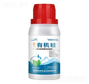 ��s�ӏ����ЙC(j��)��-����-��w�r(n��ng)