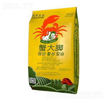 з���_���}��-�������