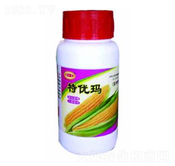 �؃�(y��u)�����׌�����-������