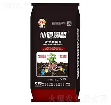 ΢�������-�ٷʱ���-�з�����