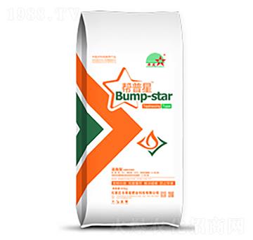 ׷ʩ�������ЙC��-������-ϣ���r(n��ng)�I(y��)