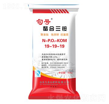 �������@19-19-19-���D