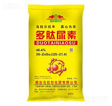 ��������-������