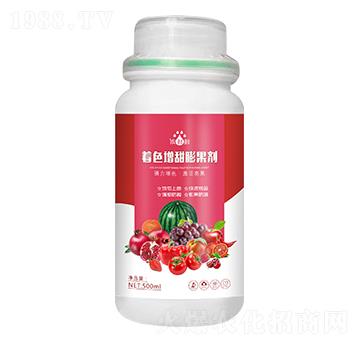 ��ɫ���������-��p�p-�������