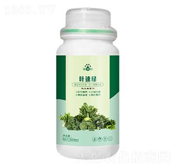 �~�پG��΢���������-��p�p-�������