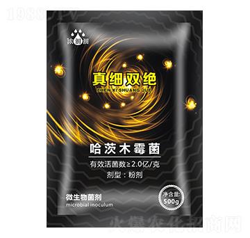 �漚�p�^��΢���������-��p�p-�������