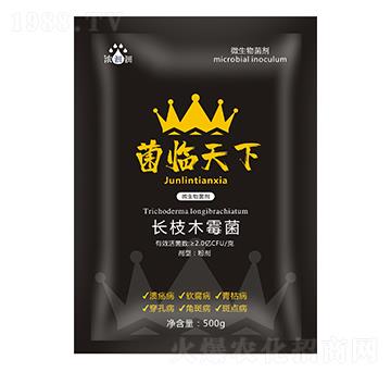 ���R���£�΢���������-��p�p-�������