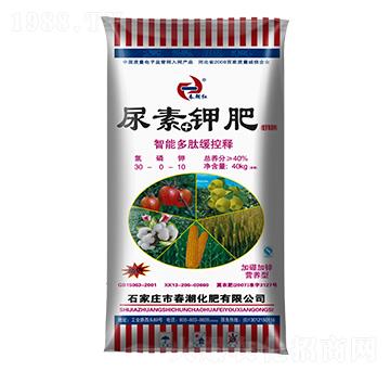 ����+⛷�-�����t