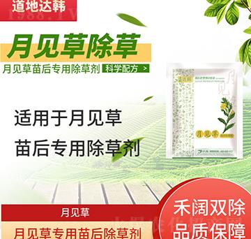 ��Ҋ(ji��n)�ݳ��݄�-��Ҋ(ji��n)�����-��Ҋ(ji��n)�݌���-���n