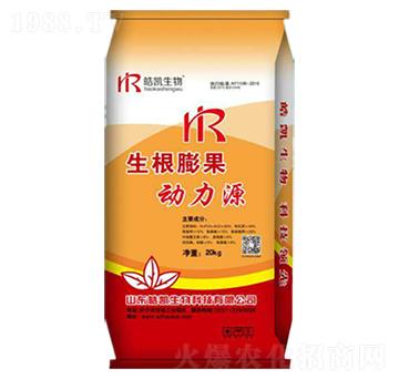 ���������(d��ng)��Դ-�P����