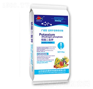 ��������-�h(yu��n)�|����