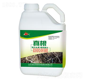 ���-�h�|����