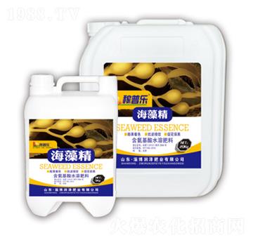 ���徫-���՘�(l��)-��(r��n)�ɷʘI(y��)